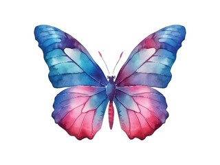 watercolor butterfly isolated on white background