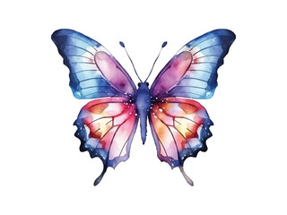 watercolor butterfly isolated on white background