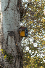 birdhouse on a tree trunk