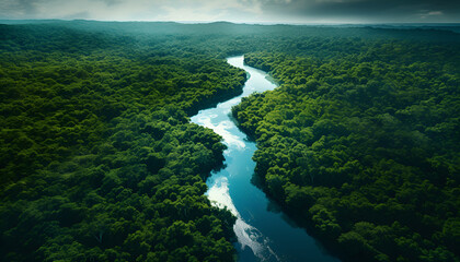 A River Winds Its Way Through Dense Jungle