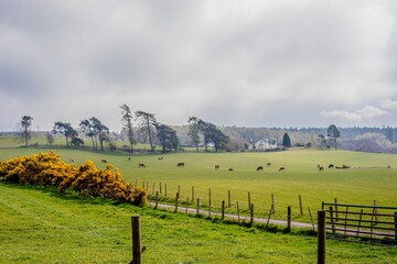 Inverness in town and biking to loch ness