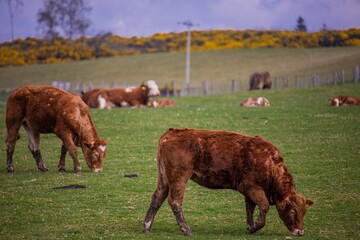 Inverness in town and biking to loch ness