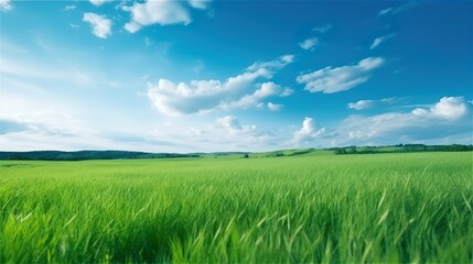 Obraz premium Panoramic natural landscape with green grass field, blue sky with clouds and and mountains in background. Panorama summer spring meadow. Shallow depth of field