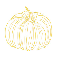 gold line art pumpkin isolated on white
