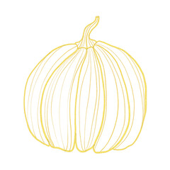 illustration of a pumpkin, gold outline