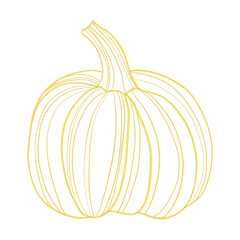 gold line art pumpkin isolated on white background