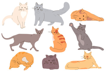 Fototapeta na wymiar Set of vector illustration of cats, kittens.Cute simple design in cartoon style.Set of illustrations with cats in different poses