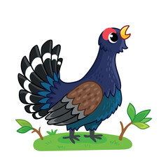 Capercaillie stands in a forest clearing and sings. Vector illustration with forest bird. - 625675454