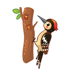 Cute woodpecker sits on a tree. Beautiful vector illustration with a forest bird.