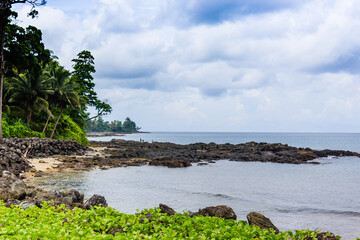 Obraz premium beach with palm trees