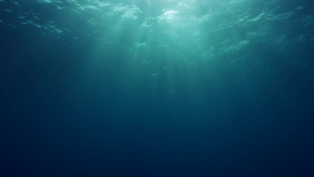Bottom view of sun light from blue abyss, slow motion of light filters down through blue water, dance sun rays in depth ocean, Underwater sunlight shiny in deep water with ripples on waves surface