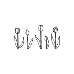 Wedding design element, Handdrawn element, Clipart, Drawing, Illustration