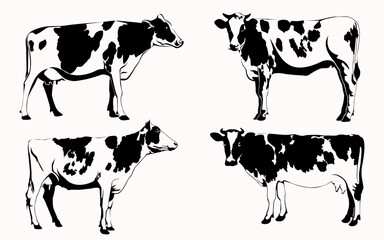 Cow Silhouette, black and white vector