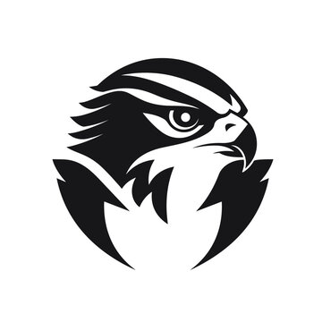 Falcon logo, falcon icon, falcon head, vector