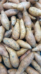 Fresh sweet potatoes stack in market