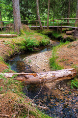 The magic forest path leads 2.5 kilometers through the enchanted high moor landscape of the Taubenmoos in Bernau, district of Oberlehen, Black Forest region in Germany.