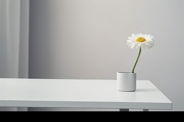 White background with a flower on a table and an empty frame. Draft for a design