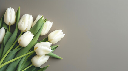 Pure Beauty: White Tulips. Generative AI