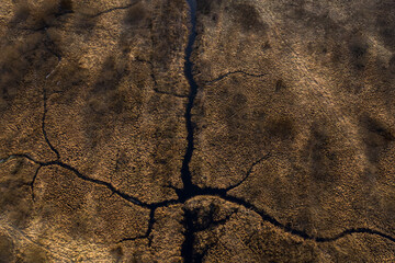 The river veins from above