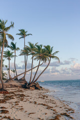 vue sur la pointe d'une plage avec des palmiers en bord de mer lors d'une journée ensoleillée avec des nuages dans le ciel
