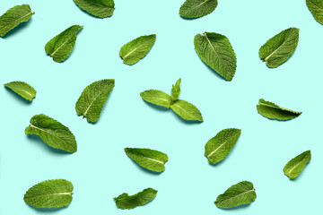 Composition with fresh mint leaves on color background
