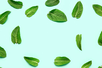 Frame made fresh of mint leaves on color background © Pixel-Shot