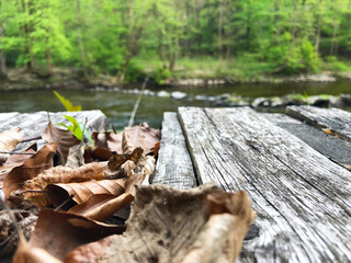 wooden bridge in forest
