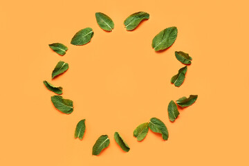 Frame made of fresh mint on color background