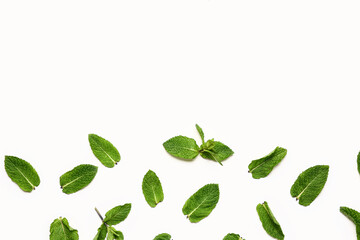 Composition with fresh mint leaves on white background
