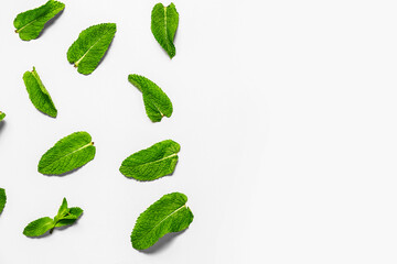 Composition with fresh mint leaves on white background