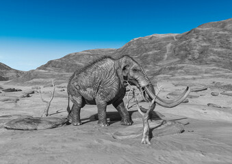 colossadon mammoth is walking among the dead trees on the dry desert