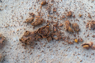 soils and deposits in nature