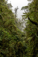 Landscape around the famous death road, the 