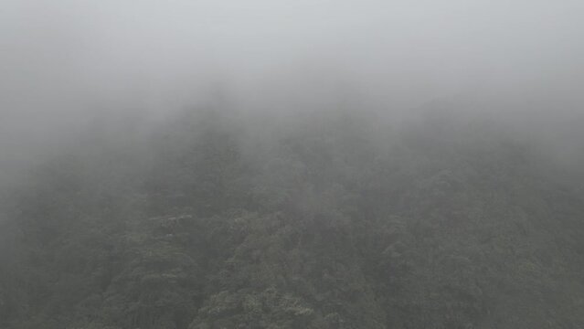 Drone footage of heavy fog around the famous death road, the "Camino de la Muerte", in the Bolivian Andes near La Paz - traveling and exploring the Yungas - raw version