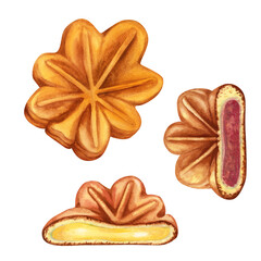 Watercolor traditional Japanese sweets Momiji Manju are sweet pastries stuffed in the shape of a maple leaf, made during the autumn season of admiring maple trees.