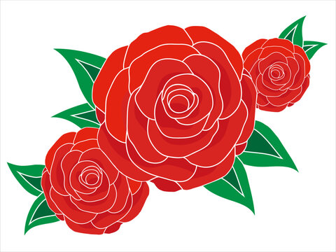 Vector image of roses isolated by white background for tattoo or print on t-shirt