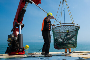 Fishermen raise their catch with fish. Industrial fishermen catch fish in the open sea. Crane...