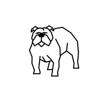 english bulldog simple vector illustration