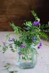 Flowers, decorative sweet peas in a glass jar on a light concrete background.