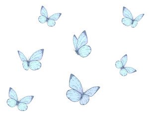 Obraz na płótnie Canvas set of butterflies isolated on white