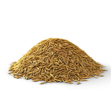 Cumin isolated on white background