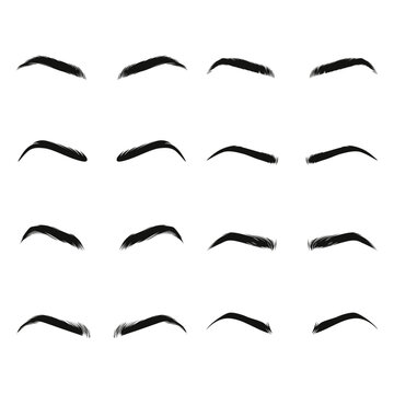 Vector Hand Drawn Woman s, Female Sexy Eye Brows, Perfectly Shaped Eyebrows. Makeup, Cosmetics, Beauty Design Template
