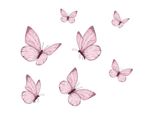 pink watercolor isolated on white flying butterflies