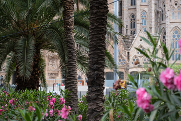 Fototapeta na wymiar Streets of Barcelona with Temple Expiatori de la Sagrada Família on background, Catalonia, Spain