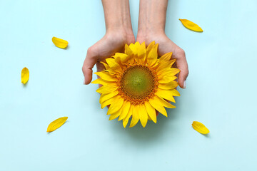 Woman with sunflower on blue background