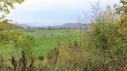 German landscape with farm fields and trees