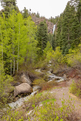 Daytime view of the landscape of Treasure Falls