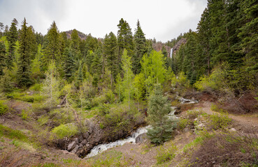 Daytime view of the landscape of Treasure Falls