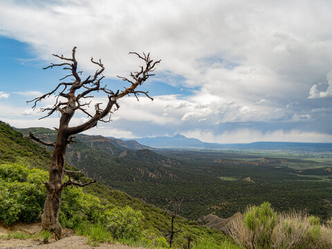 High angle view of the Mancos landscape