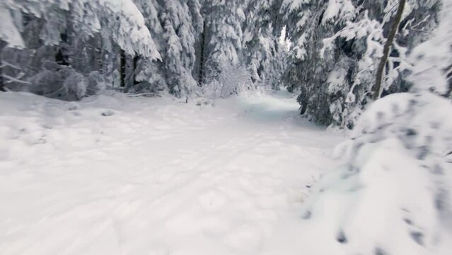 &Uuml;ber den Winterwipfeln: Drohnen-Luftaufnahmen der verschneiten Alpenlandschaften